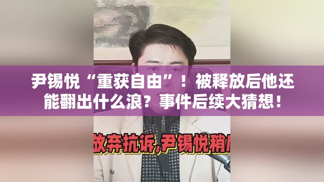 尹锡悦被捕满 52 天后被释放