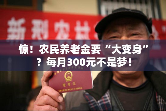 惊！农民养老金要“大变身”？每月300元不是梦！