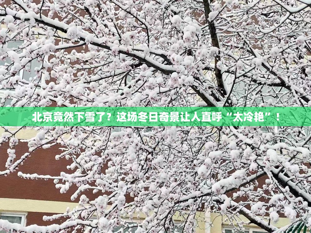 北京竟然下雪了