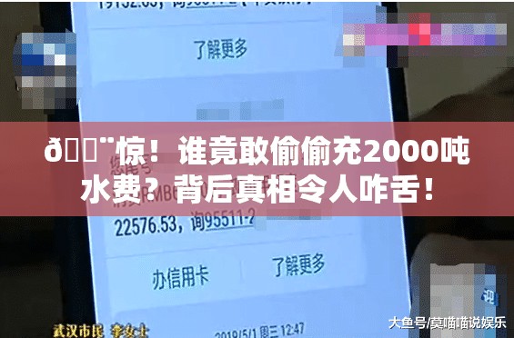 🚨惊！谁竟敢偷偷充2000吨水费？背后真相令人咋舌！