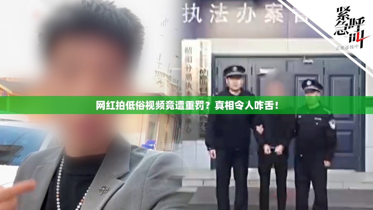 网红拍低俗视频被罚