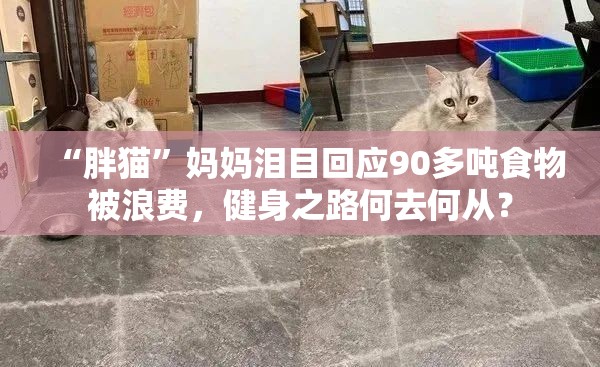 “胖猫”妈妈回应90多吨食物被浪费