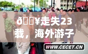 🔥走失23载，海外游子终回家！认亲现场泪如雨下，真相令人动容💔