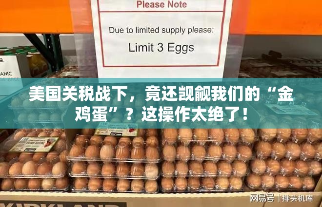 美国关税战下，竟还觊觎我们的“金鸡蛋”？这操作太绝了！