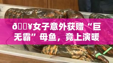 🔥女子意外获赠“巨无霸”母鱼，竟上演暖心放生大戏，背后故事超感人！🐟